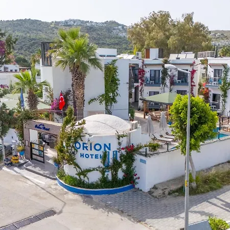Orion בודרום