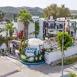 Orion בודרום